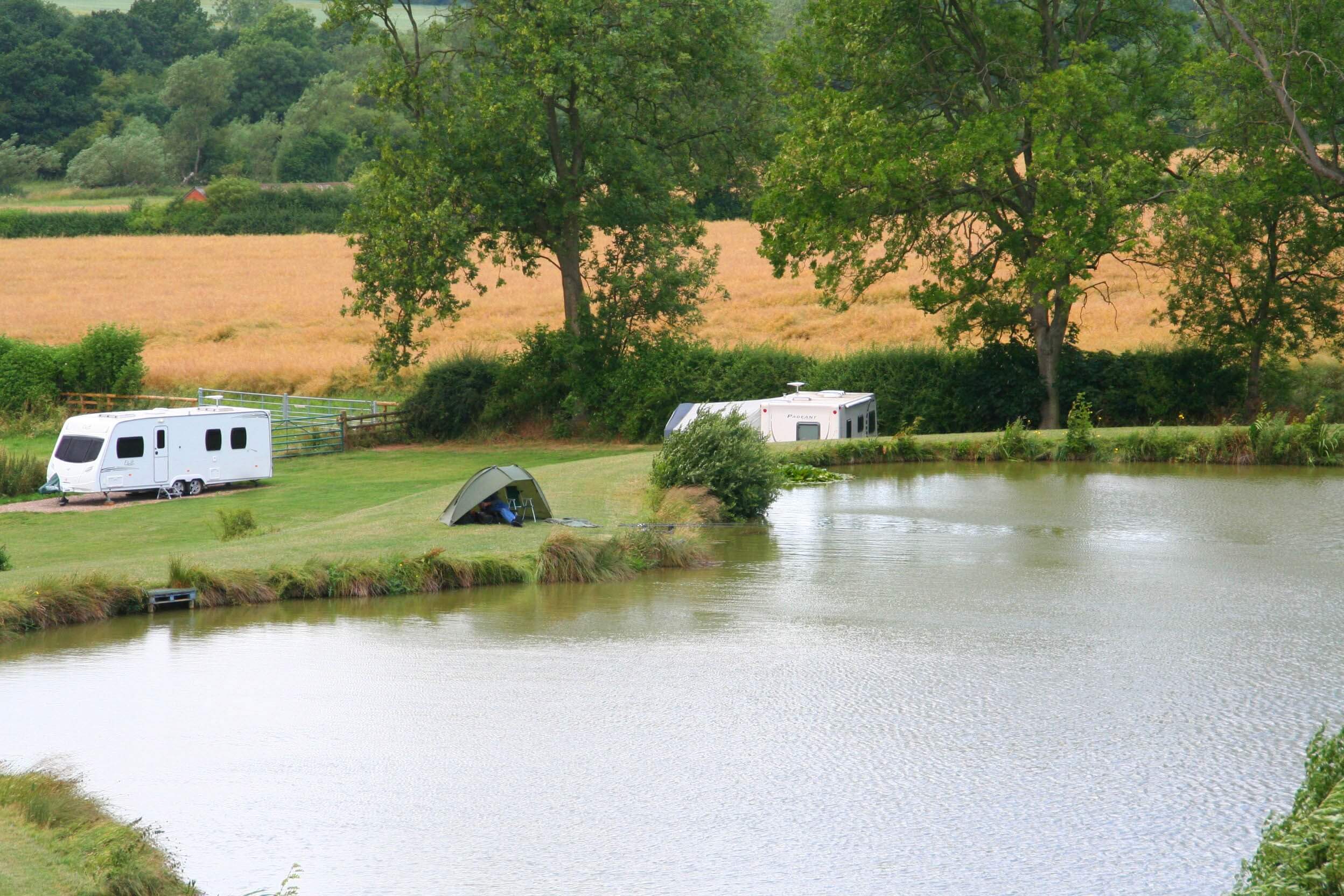 Fir Tree Fishing