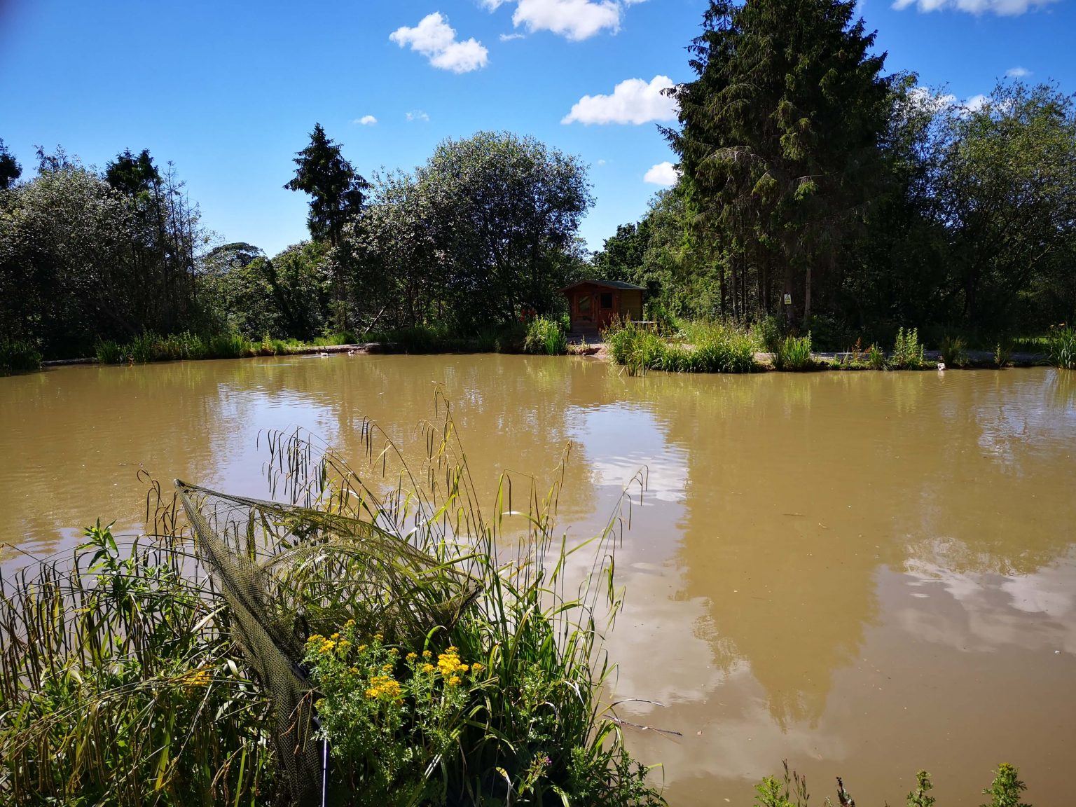 Gallery Fir Tree Fishing